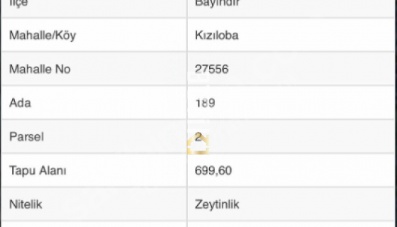 İZMİR/ BAYINDIR/ KIZILOBA/ KÖYÜNDE SATILIK ZEYTİNLİK ARSASI